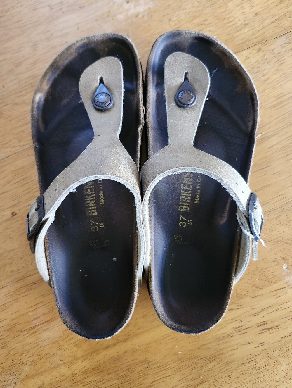Birkenstock Gizeh Sandals, Size 37, Mocha Stone Birko-Flor Thong Sandal